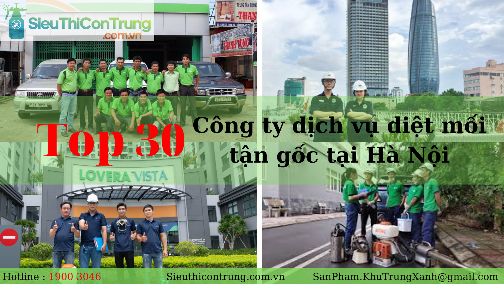 THAM KHẢO 30 công ty dịch vụ diệt mối tận gốc tại Hà Nội